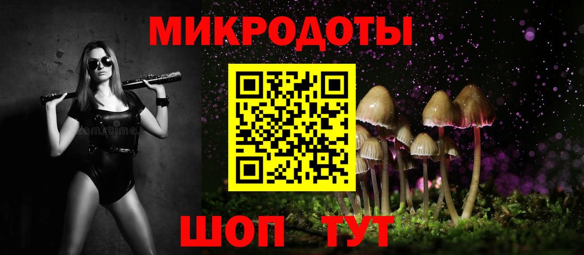 Галлюциногенные грибы Cubensis  Вход с VPN  Псилоцибиновые грибы Psilocybine cubensis  Ейск 